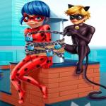 Cat Noir Rescue Ladybug